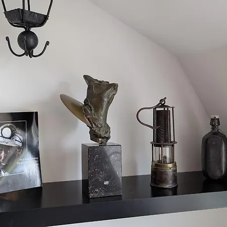 Aparthotel Mijn Met Sauna En Lift