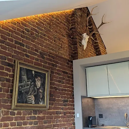 Aparthotel Mijn Met Sauna En Lift Voerendaal