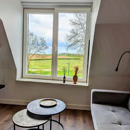 Mijn Met Sauna En Lift 4*