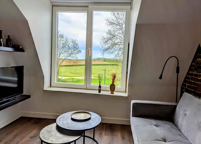 Mijn Met Sauna En Lift 4*