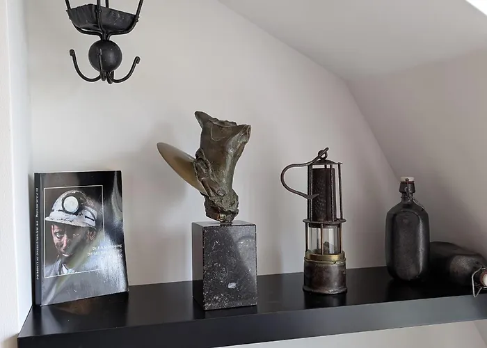 Ξενοδοχείο με διαμερίσματα Mijn Met Sauna En Lift